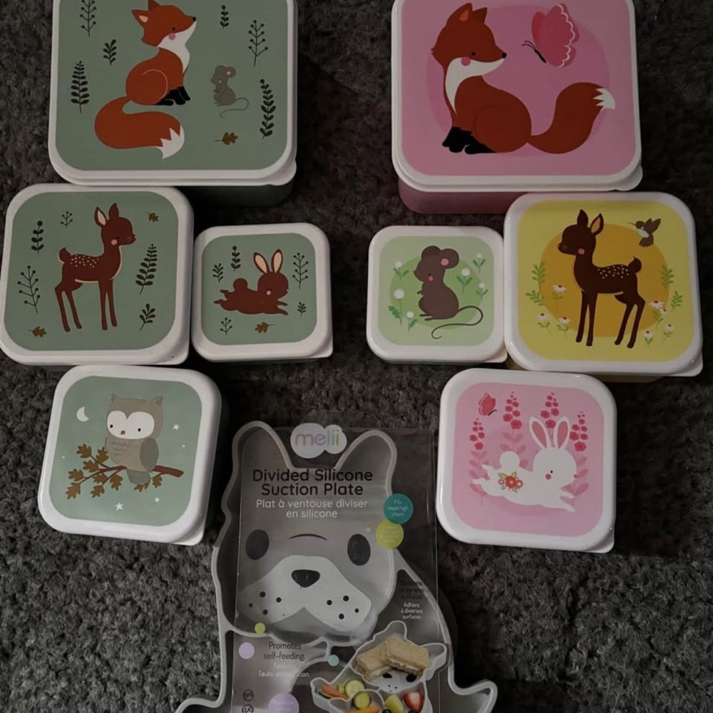 Cute Animal-Themed Storage Containers
